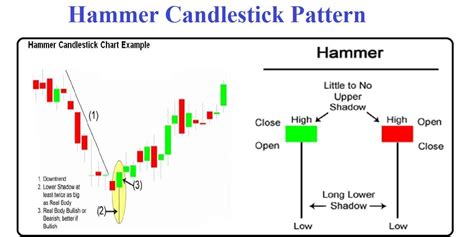 How to trade Hammer Candlestick Pattern 2024 - CoinCodeCap - Crypto Signals