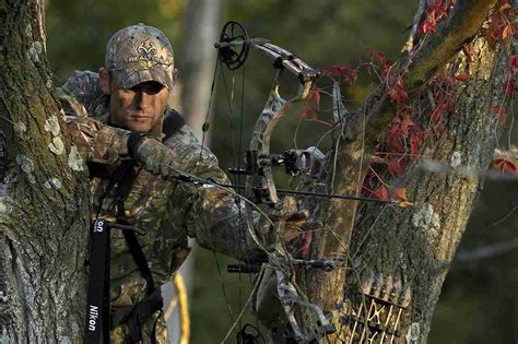 Most Useful Bow Hunting Tips for the Beginner Hunters - Captain Hunter