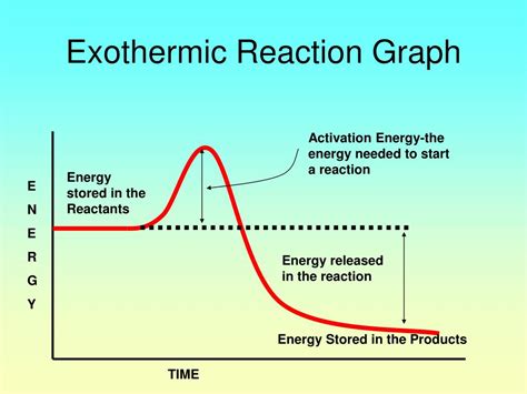 Exothermic Vs Endothermic Reaction Graph