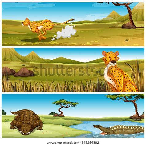 Wild Animals Field Illustration Stock Vector (Royalty Free) 345254882 ...