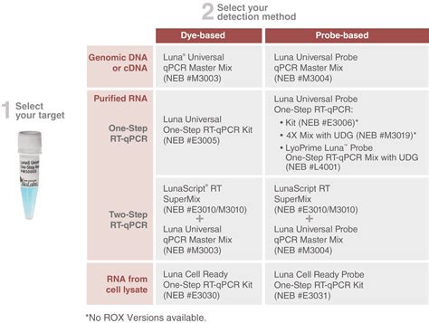 Real-Time PCR (qPCR) & RT-qPCR für die DNA & RNA Quantifizierung