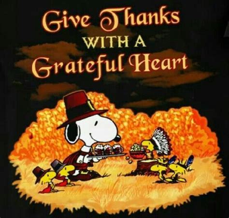 Charlie Brown Thanksgiving Quotes - ShortQuotes.cc