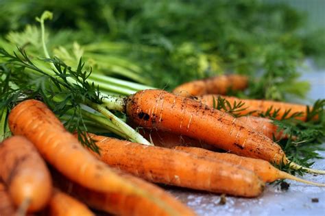 WHEN DO YOU HARVEST CARROTS |The Garden of Eaden