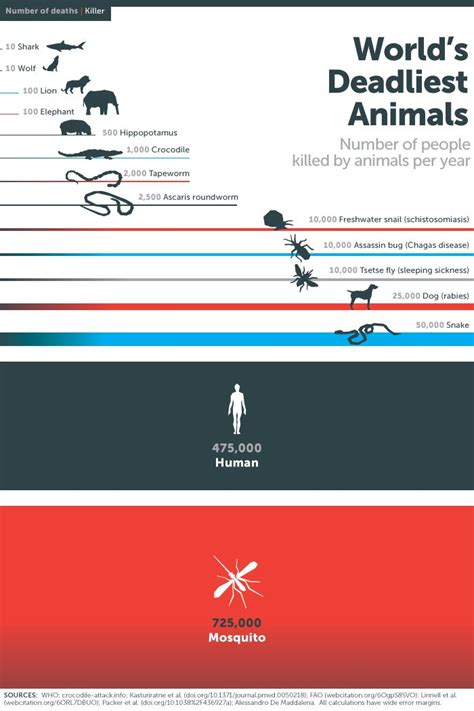 The deadliest animal in the world | Bill Gates