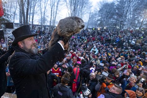 Happy Groundhog Day: Punxsutawney Phil says there will be 6 more weeks ...