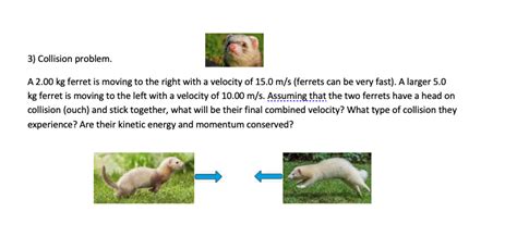 Solved 1) Vector addition. What is the vector addition | Chegg.com