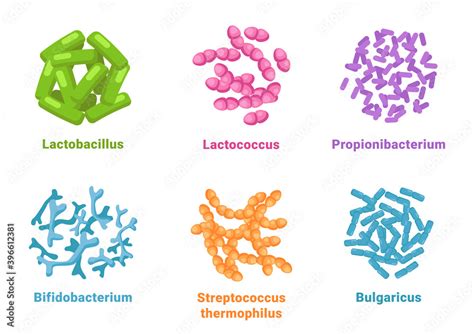 Probiotic set lactobacillus, lactococcus, propionibacterium ...