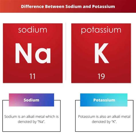 Sodium vs Potassium: Difference and Comparison