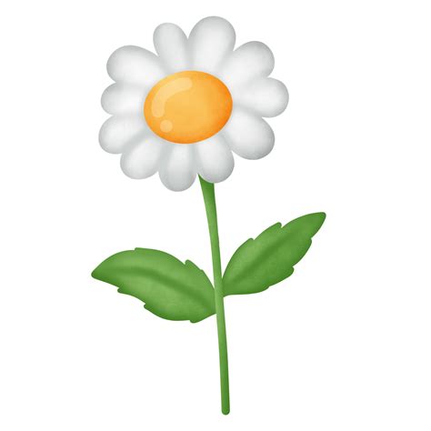 clipart fiore margherita 8505482 PNG