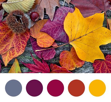 Let’s take a look at November colors you may want to consider ...