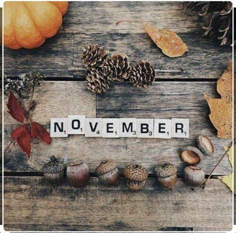 November Wallpaper, Fall Wallpaper, November Backgrounds, Seasons ...