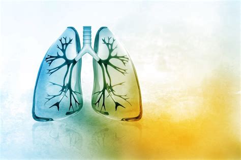 Inhaled Bronchodilator for COPD Shows Promise in Pilot Study