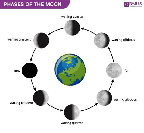 Phases Of The Moon Diagram To Label