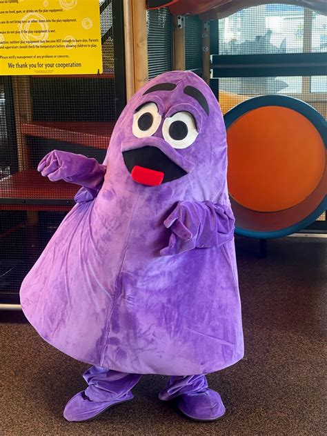 Grimace Costume McDonald’s Halloween | Diy halloween costumes, Family ...