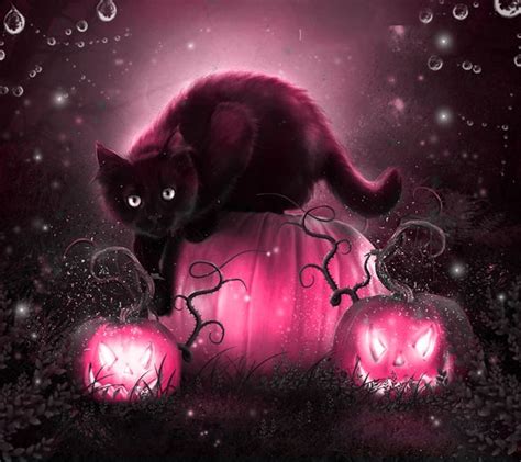 Halloween cats for all! - Album on Imgur | Halloween pictures ...