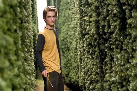 Cedric Diggory HQ Stills - Cedric Diggory Photo (7880837) - Fanpop