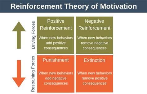 HR Guide: Motivating Employees Using Reinforcement Theory