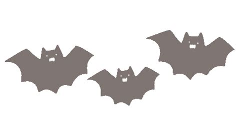 Halloween Bat Sticker for iOS & Android | GIPHY