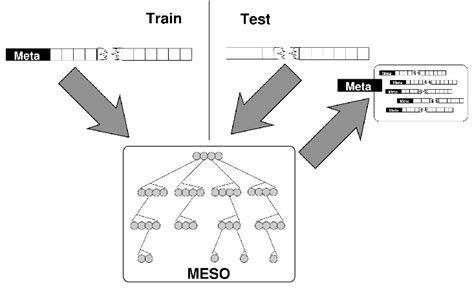 High-level view of MESO. | Download Scientific Diagram