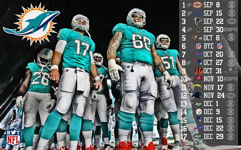 Miami Dolphins Background Wallpaper (76+ images)