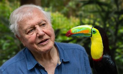 David Attenborough cracks 1 million followers on Instagram in world ...