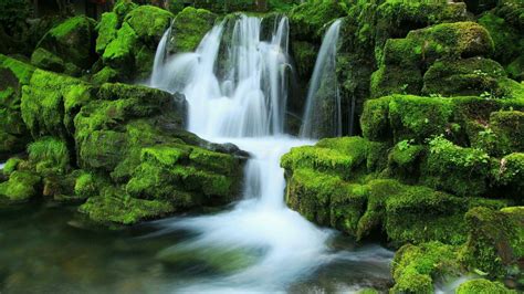 Waterfall Stream Between Algae Covered Rocks During Daytime HD Nature ...