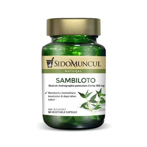 Sido Muncul Natural Sambiloto 50 Kapsul - Kegunaan, Efek Samping, Dosis ...