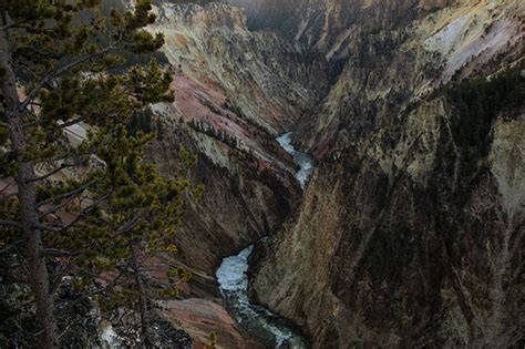 Grand Canyon of the Yellowstone at Sunrise