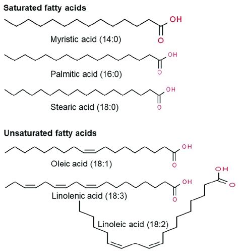 14+ Saturated Fat Diagram - HarvieMaxi