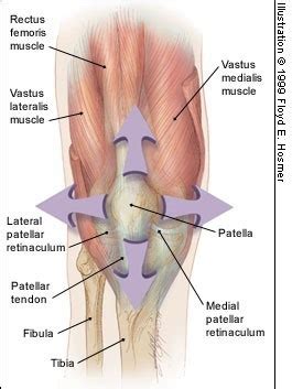 The TRUTH About Patellar Tracking Disorder | Precision Movement