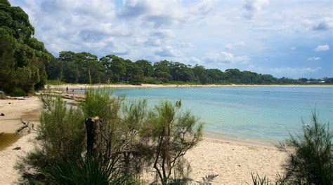 Collingwood Beach in Vincentia - Tours and Activities | Expedia.ca