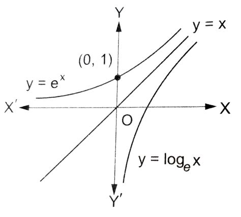 On the same draw the graphs of e^(x) and log(e) x.