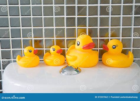 Rubber duck in bathroom stock photo. Image of animal - 37201962