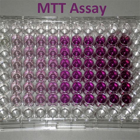 MTT Assay – CET Scientific Services Pte Ltd