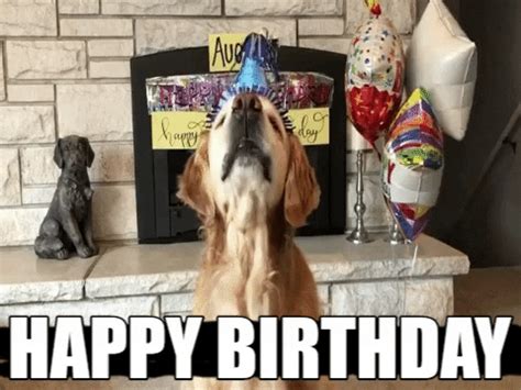 animated gif happy birthday pet Happy birthday dogs gif - Funny Memes