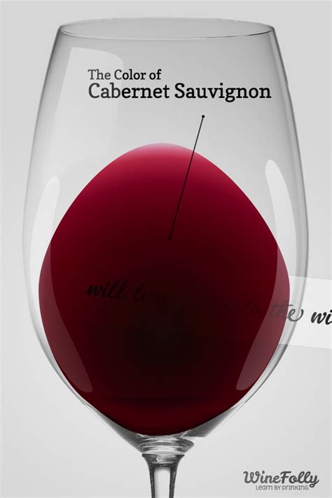 The Guide to Cabernet Sauvignon Red Wine | Wine Folly