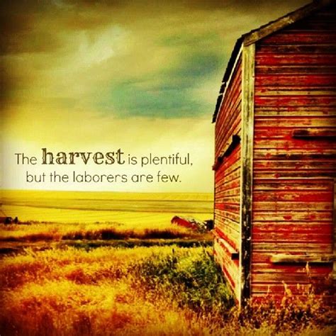 The harvest is plentiful, but the laborers are few. | Christian quotes ...