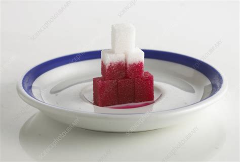 Capillary action experiment - Stock Image - C051/4343 - Science Photo ...