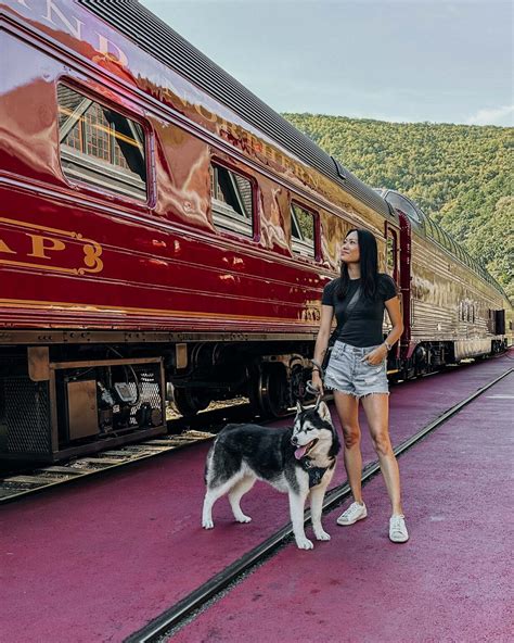 All Aboard the Dog-Friendly Jim Thorpe Train Ride Adventure