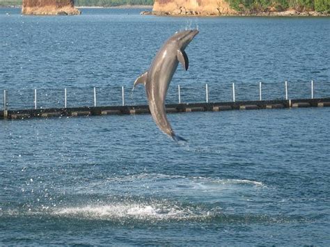 Ocean Adventure Park - Subic Bay, Zambales Philippines - Clark Subic ...