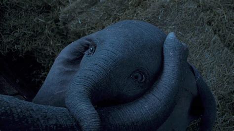 Dumbo (2019) | "Baby Mine" Clip [HD] - YouTube