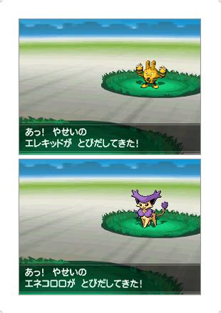 Pokémon Black 2 & White 2: Version Differences | PokéJungle