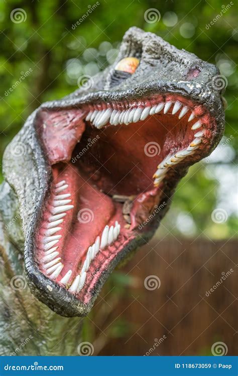 Sharp Teeth of a Velociraptor Dinosaur Stock Image - Image of carnivore ...