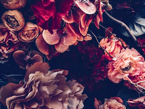 Dark Floral Wallpaper Phone - Looking for the best dark flower wallpaper?