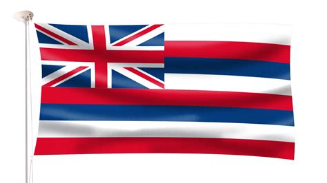 Hawaii Flag | Hampshire Flag Company