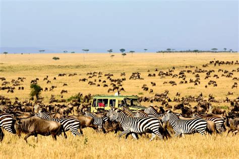 Serengeti National Park United Republic of Tanzania UNESCO | Serengeti ...