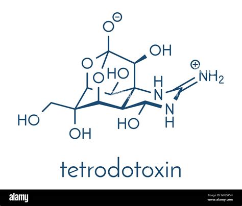 Tetrodotoxin hi-res stock photography and images - Alamy