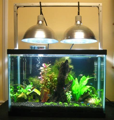 Pin on Aquascaping