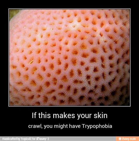 Trypophobia Skin Disease On Arm