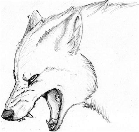 Pics For > Angry Wolf Face Drawing